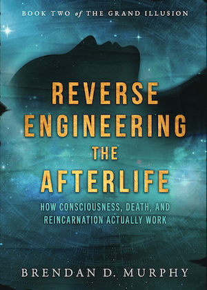 Reverse Engineering the Afterlife by Brendan D. Murphy