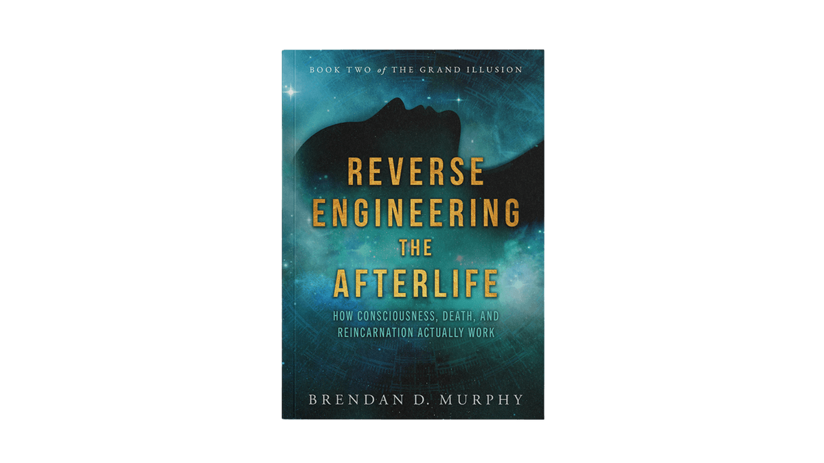 Reverse Engineering the Afterlife — hardcover edition by Brendan D. Murphy