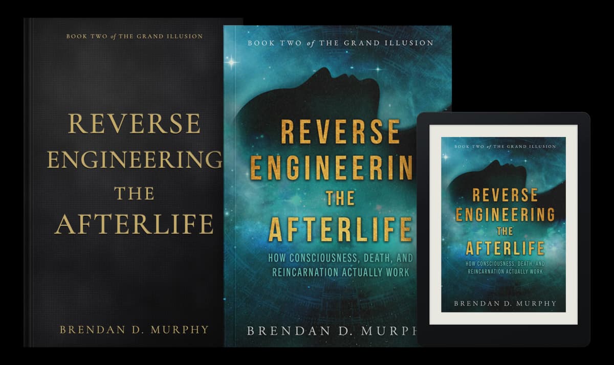Reverse Engineering the Afterlife—Brendan D. Murphy